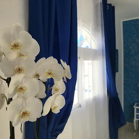 La Concha Azul *
